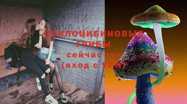 мдпв Пролетарск