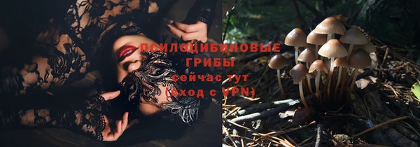 синтетический гашиш Гвардейск