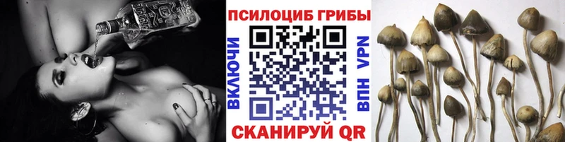 Галлюциногенные грибы ЛСД  Бронницы 