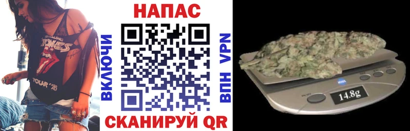 где купить наркоту  Бронницы  Шишки марихуана конопля 